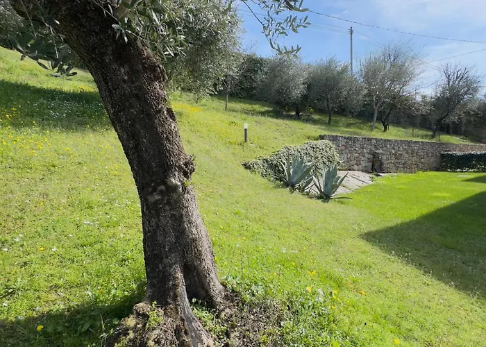 Ca' Campitol Torri Del Benaco