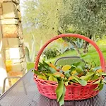 Tatil Evi Ca' Campitol Torri Del Benaco
