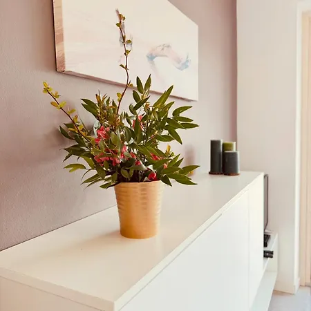 別荘 Ca' Campitol *