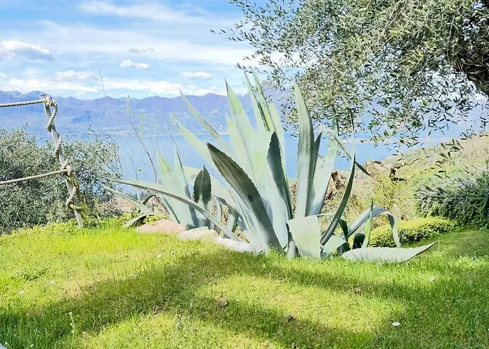 Ca' Campitol 度假居