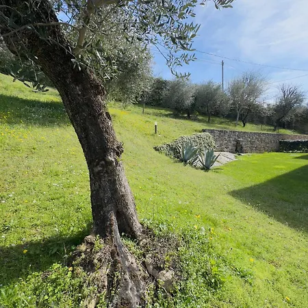 Ca' Campitol Torri Del Benaco