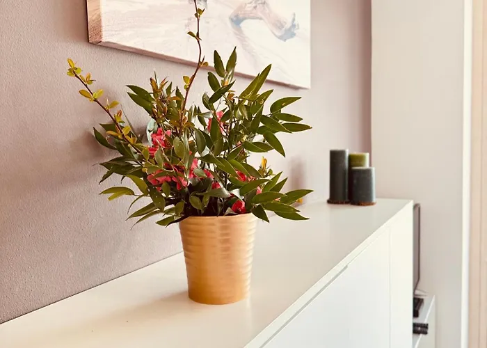 Ca' Campitol Дом отдыха